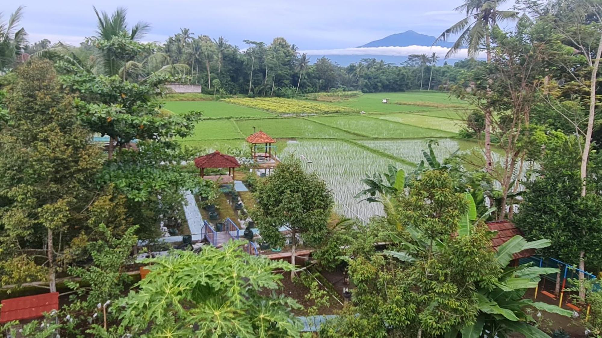 Anugrah Borobudur Magelang Exteriér fotografie