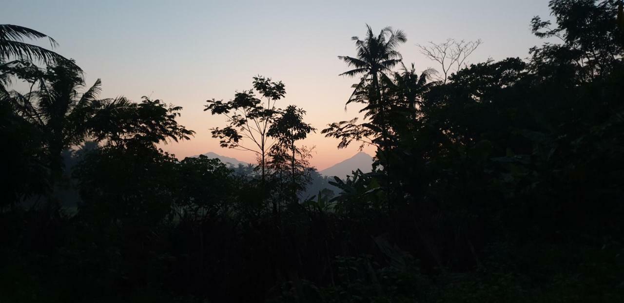 Anugrah Borobudur Magelang Exteriér fotografie